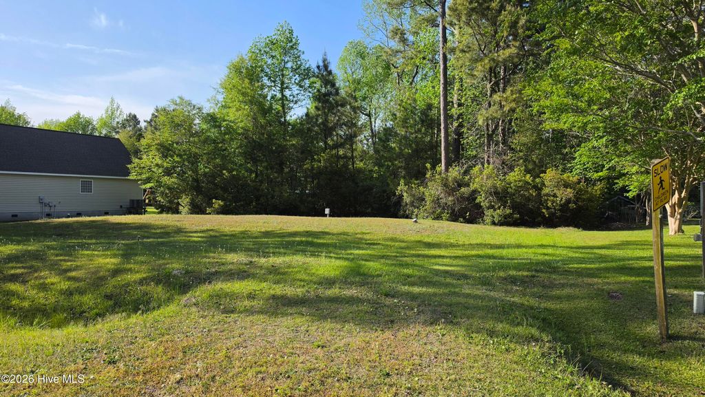 Photo of 142 N Harbor Drive, Beaufort, NC 28516 (MLS # 100571065)