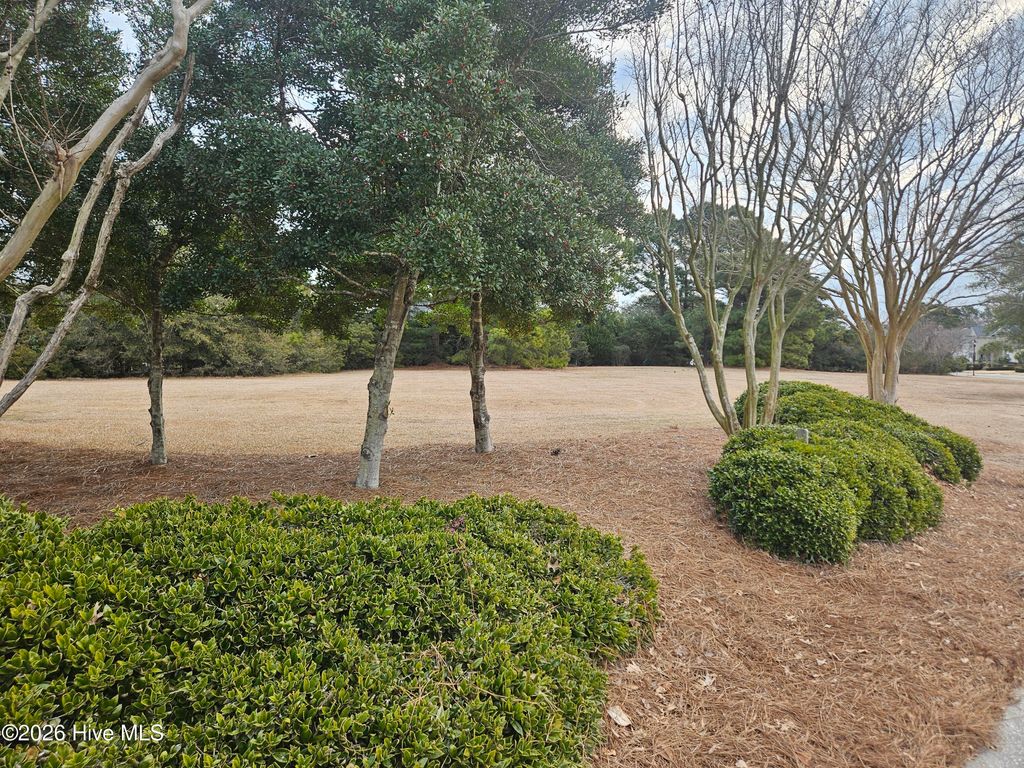 Photo of 2000 Ashland Court, Wilmington, NC 28405 (MLS # 100553638)