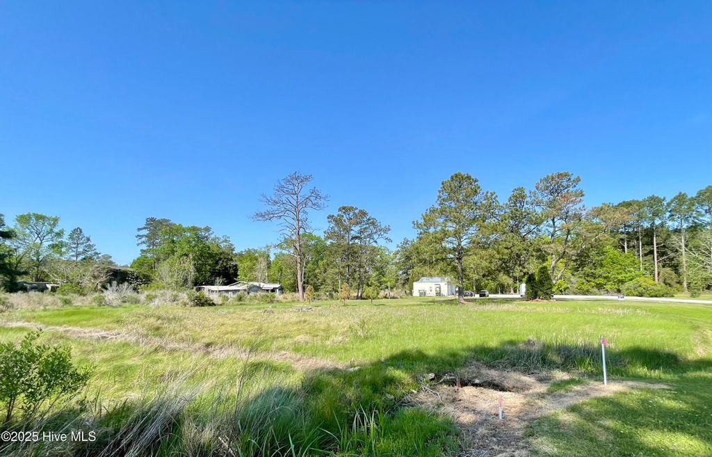 Photo of 326 Woodstock Lane, Belhaven, NC 27810 (MLS # 100539728)