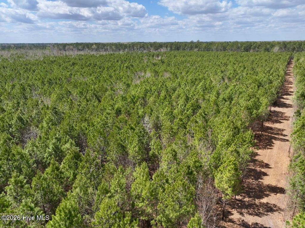 Photo of 0 Guinea Mill Road, Ernul, NC 28527 (MLS # 100565523)