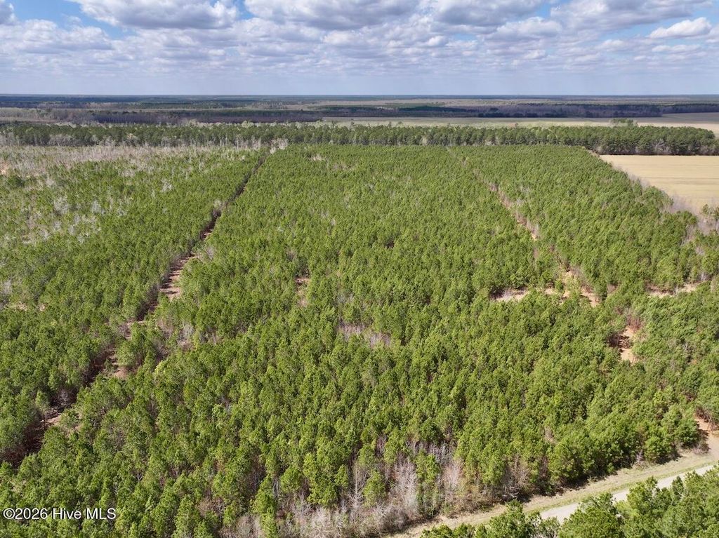 Photo of 0 Guinea Mill Road, Ernul, NC 28527 (MLS # 100565523)