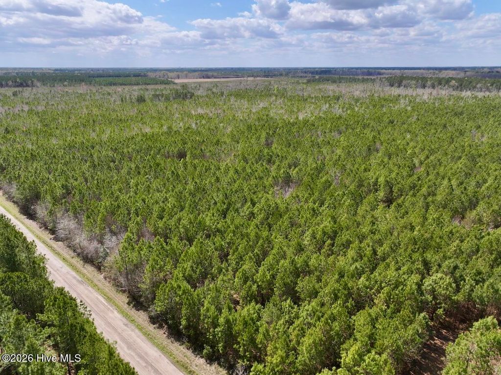 Photo of 0 Guinea Mill Road, Ernul, NC 28527 (MLS # 100565523)