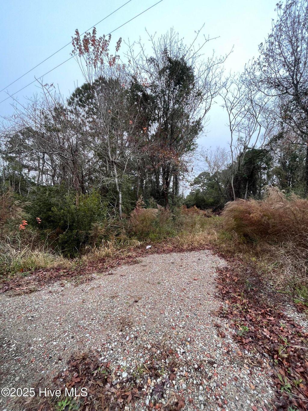 Photo of 202 South Drive, Beaufort, NC 28516 (MLS # 100544332)