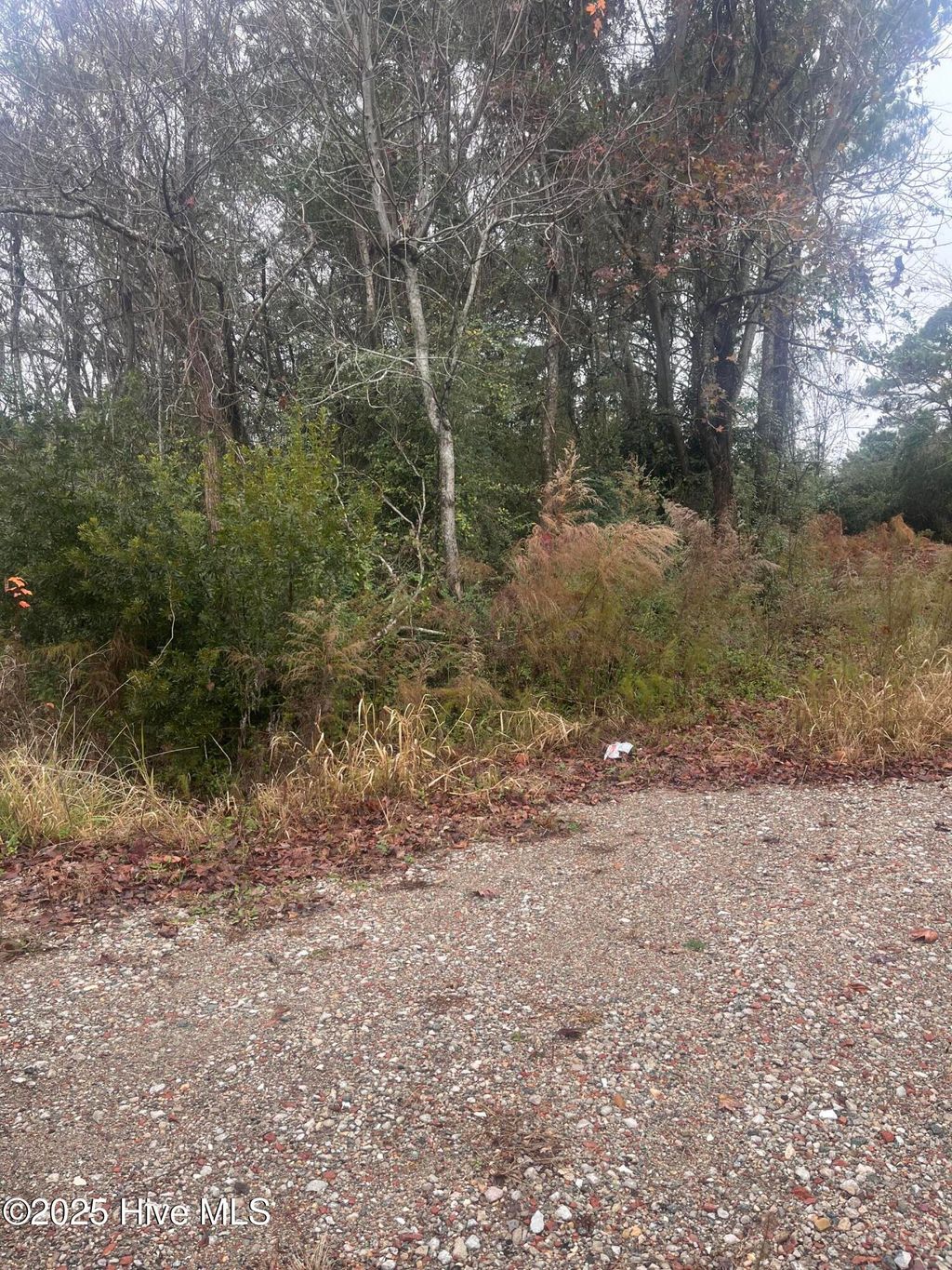 Photo of 202 South Drive, Beaufort, NC 28516 (MLS # 100544332)