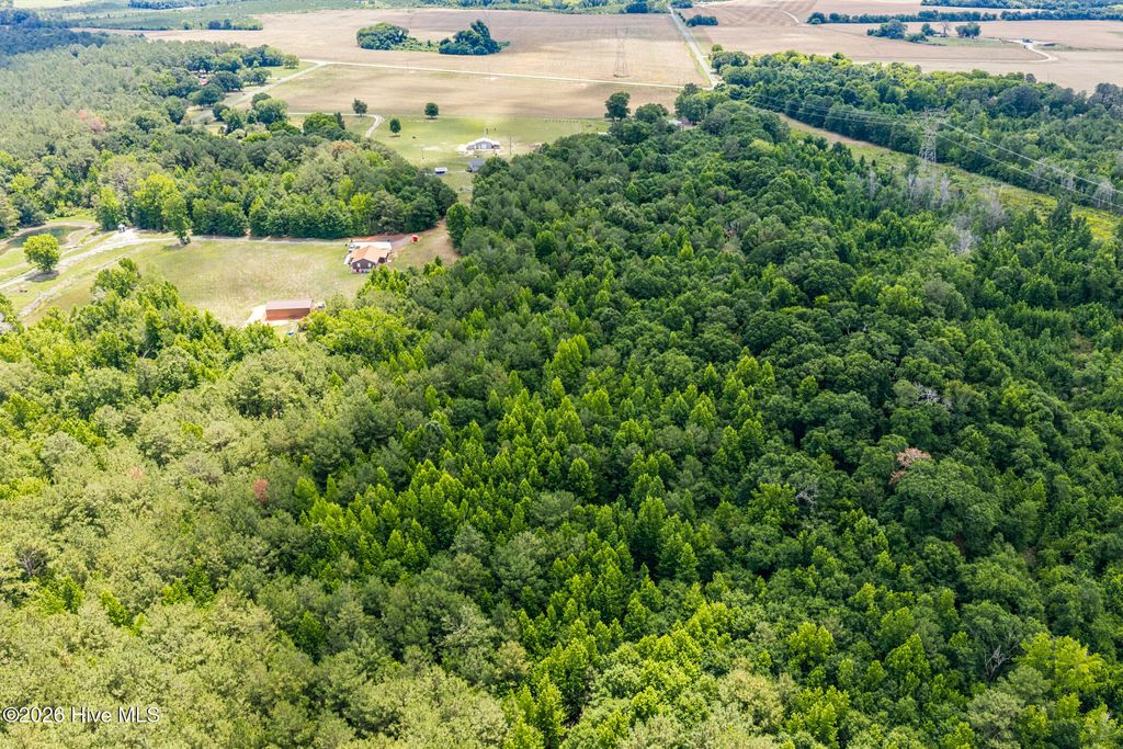 Photo of 145 Horseshoe Road, Rockingham, NC 28379 (MLS # 100587246)