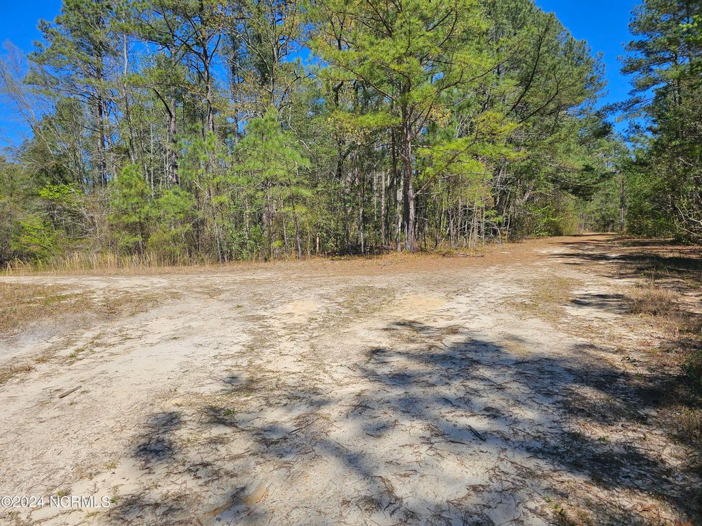 Photo of 353 Indian Pipe Lane, Vass, NC 28394 (MLS # 100437236)