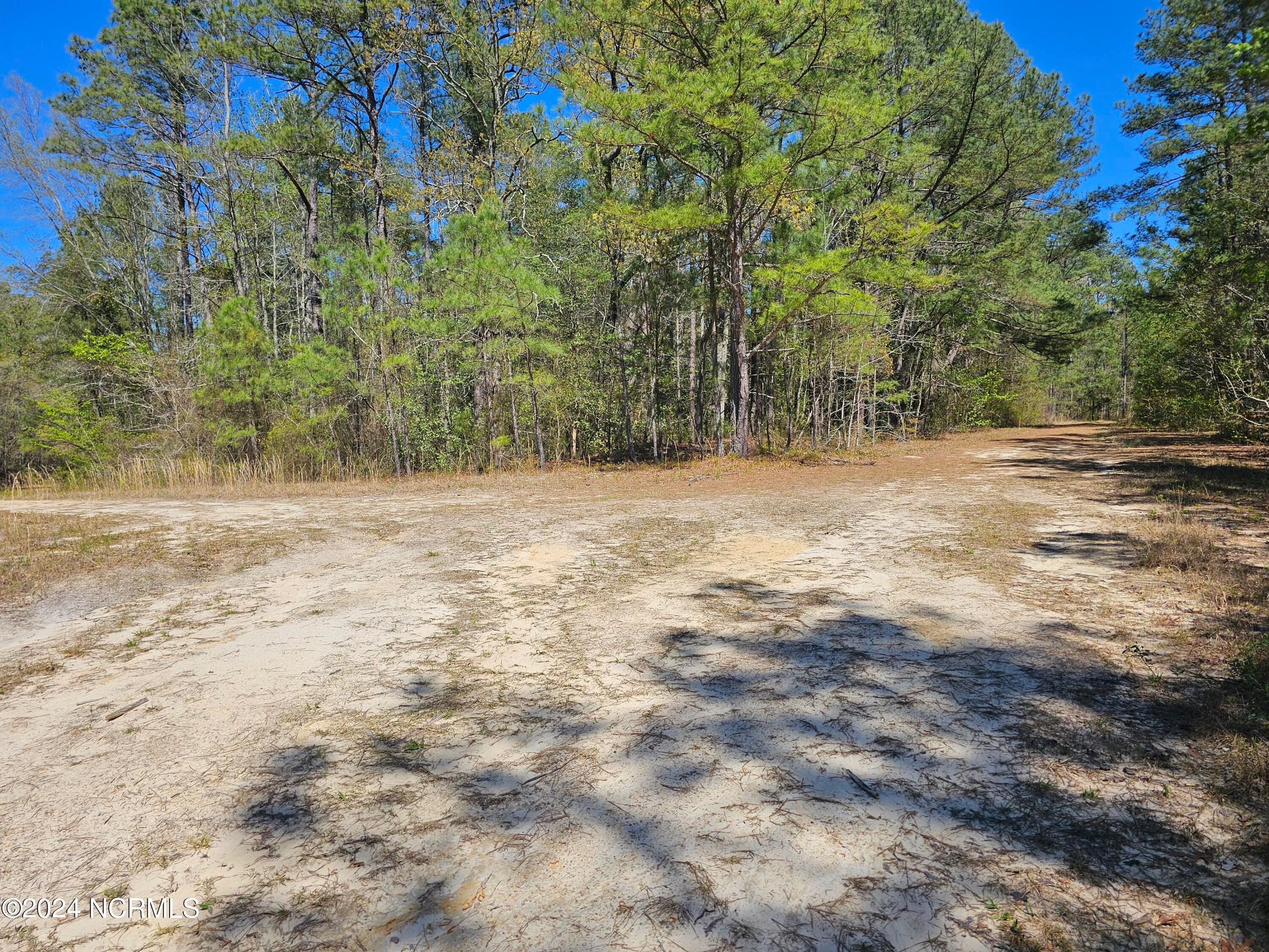 353 Indian Pipe Lane