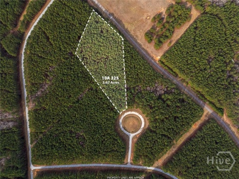Vacant Land For Sale - 1343 Magnolia Court<br/> Tignall, GA 30668