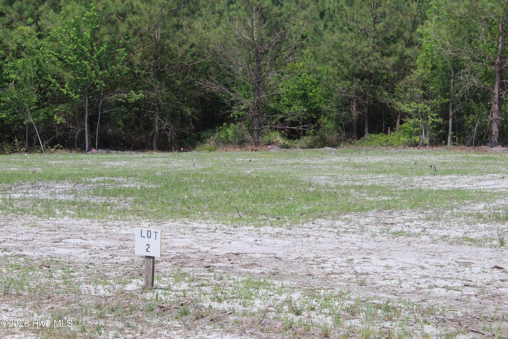 Photo of 120 H.T.Brown Lane, Magnolia, NC 28453 (MLS # 100569683)