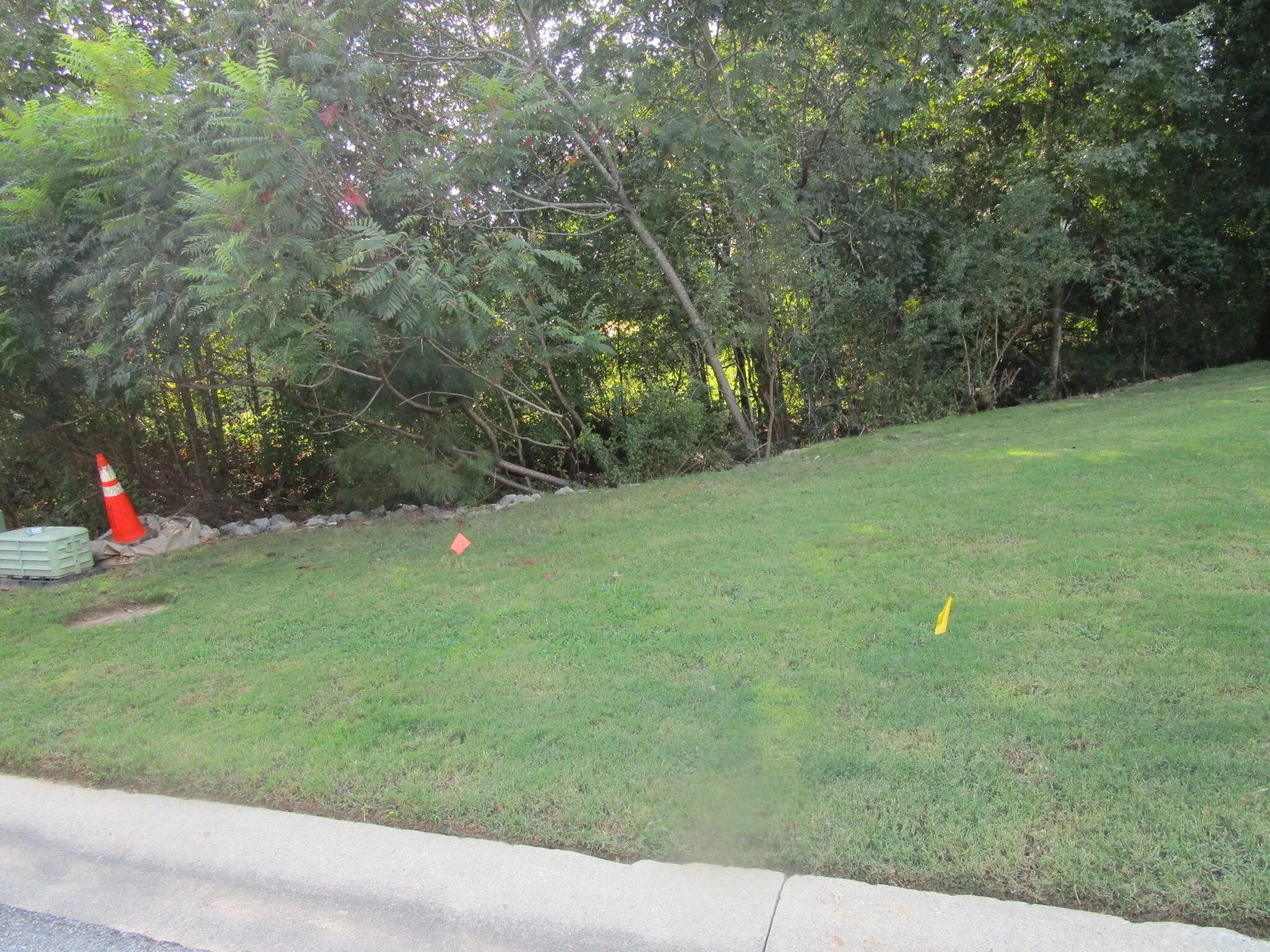 509 Walton Way