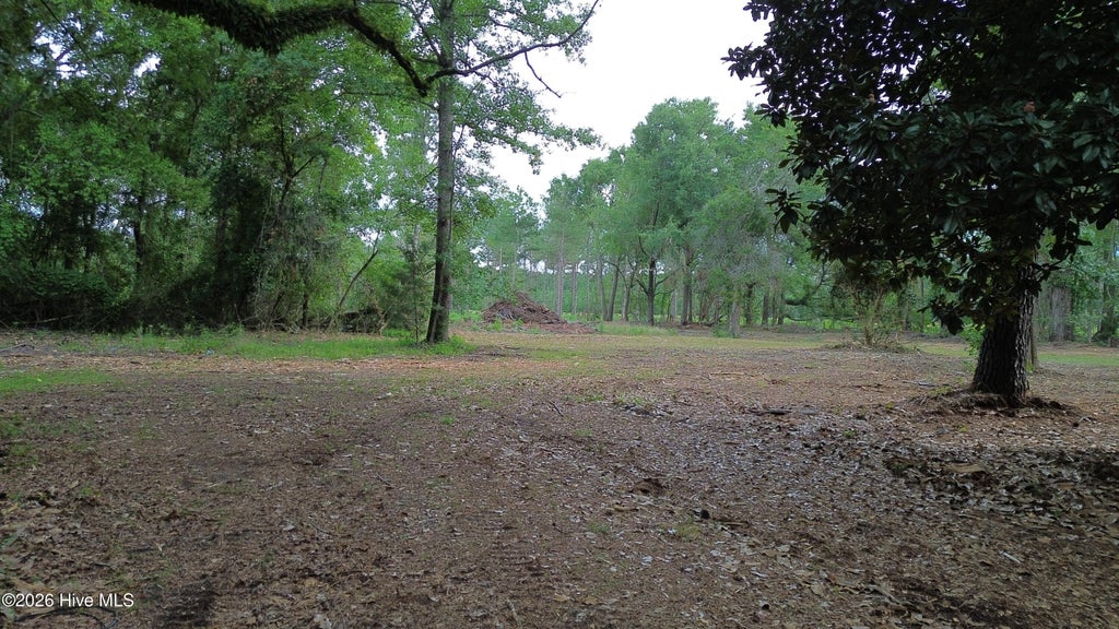 Photo of 2 Elmore, Laurinburg, NC 28352 (MLS # 100599982)