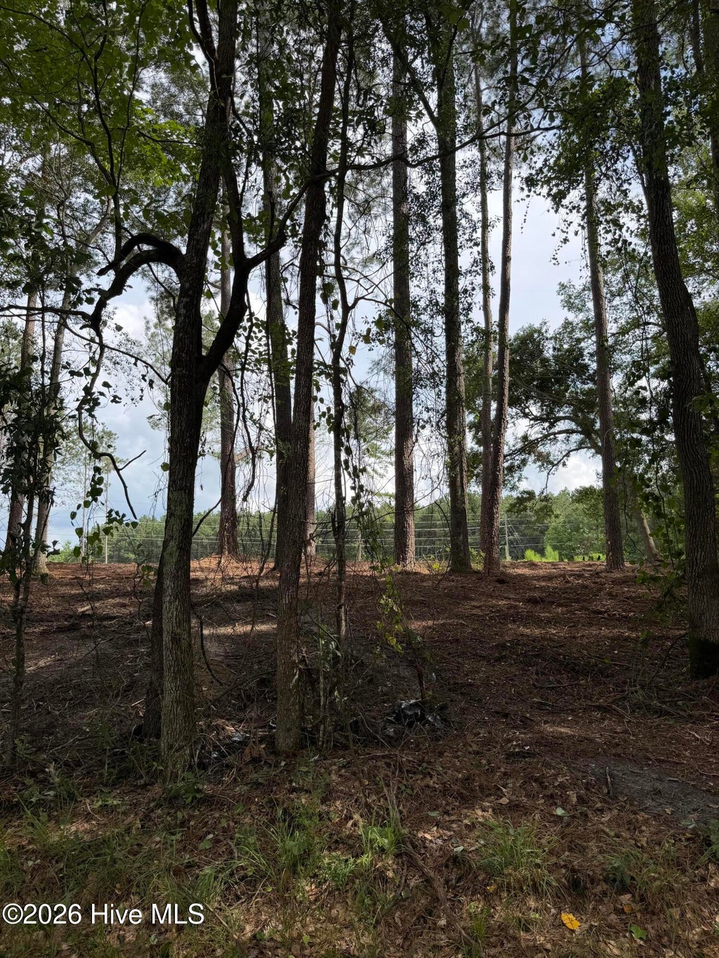 Photo of 2 Elmore, Laurinburg, NC 28352 (MLS # 100599982)