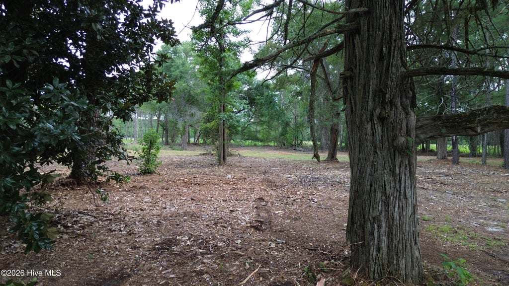 Photo of 2 Elmore, Laurinburg, NC 28352 (MLS # 100599982)