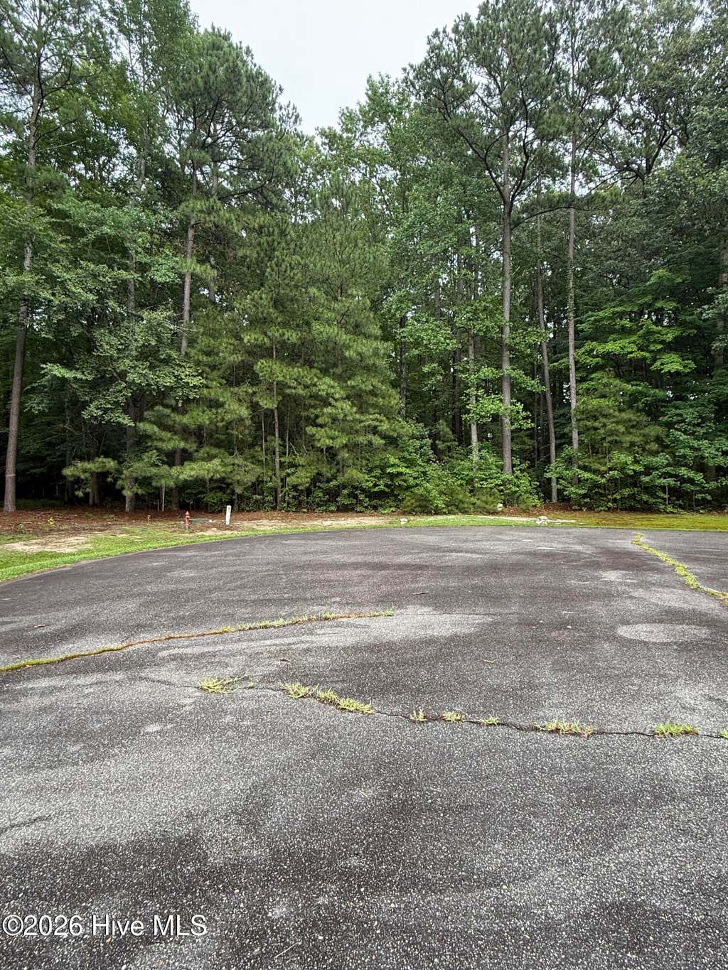 Photo of 78 Roberta Drive, Hertford, NC 27944 (MLS # 100592183)