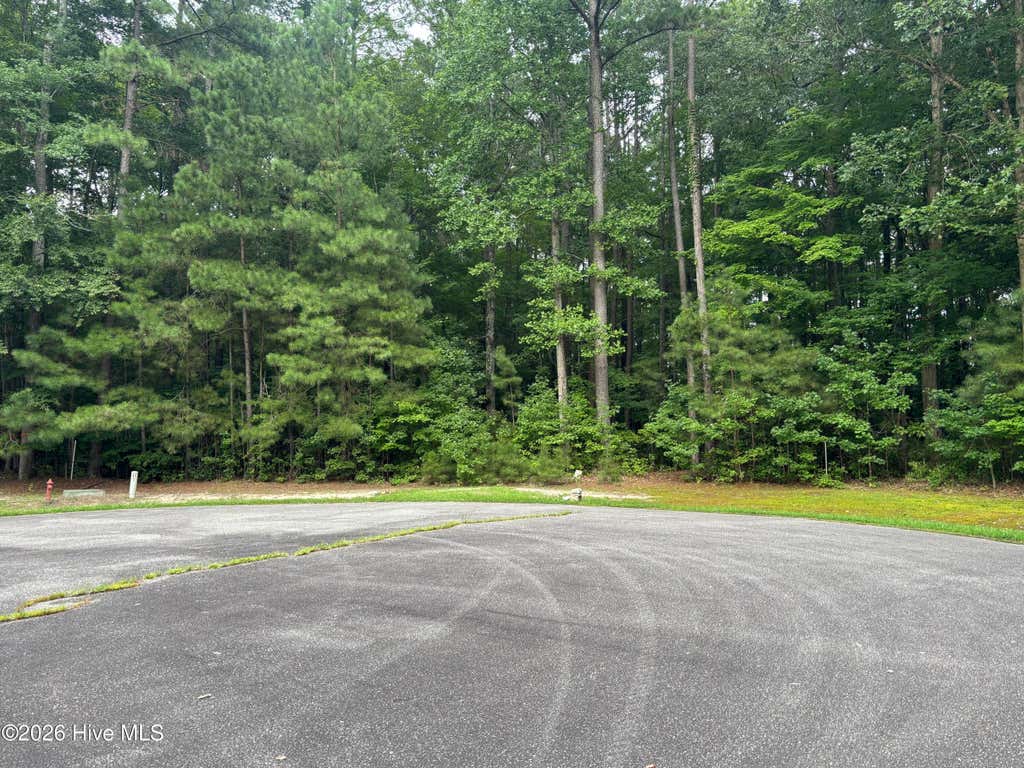 Photo of 78 Roberta Drive, Hertford, NC 27944 (MLS # 100592183)