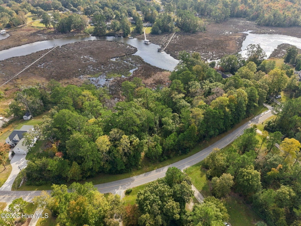 Photo of 230 White Oak Bluff Road, Stella, NC 28582 (MLS # 100613307)
