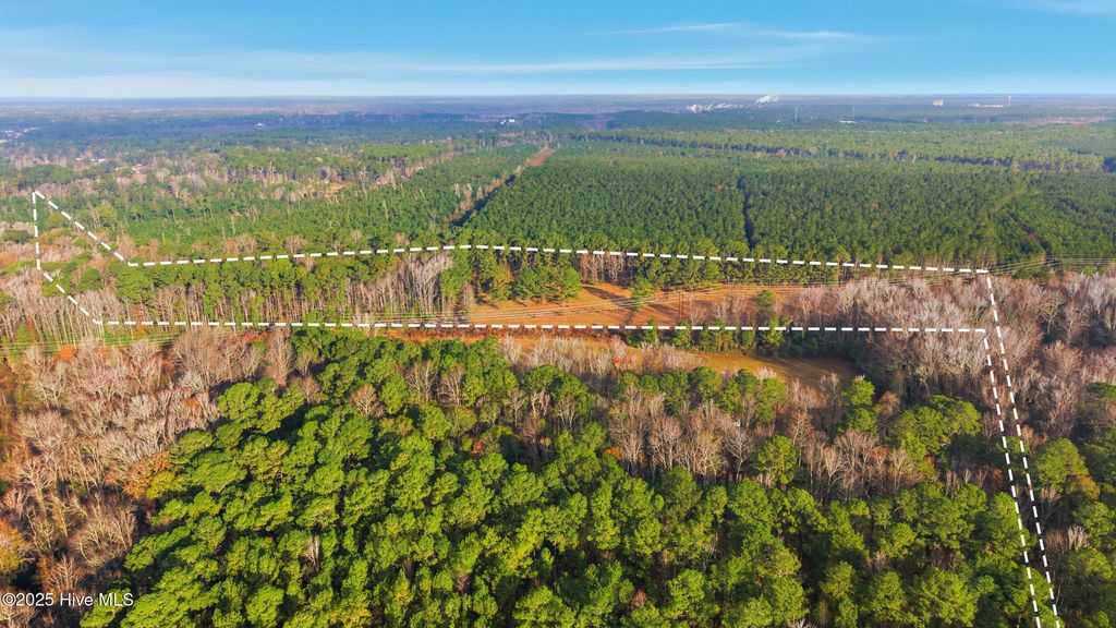 Photo of 4360 Buck Drive, Castle Hayne, NC 28429 (MLS # 100544293)