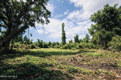 Tiny photo for 1805 Front Street, Burgaw, NC 28425 (MLS # 100554171)