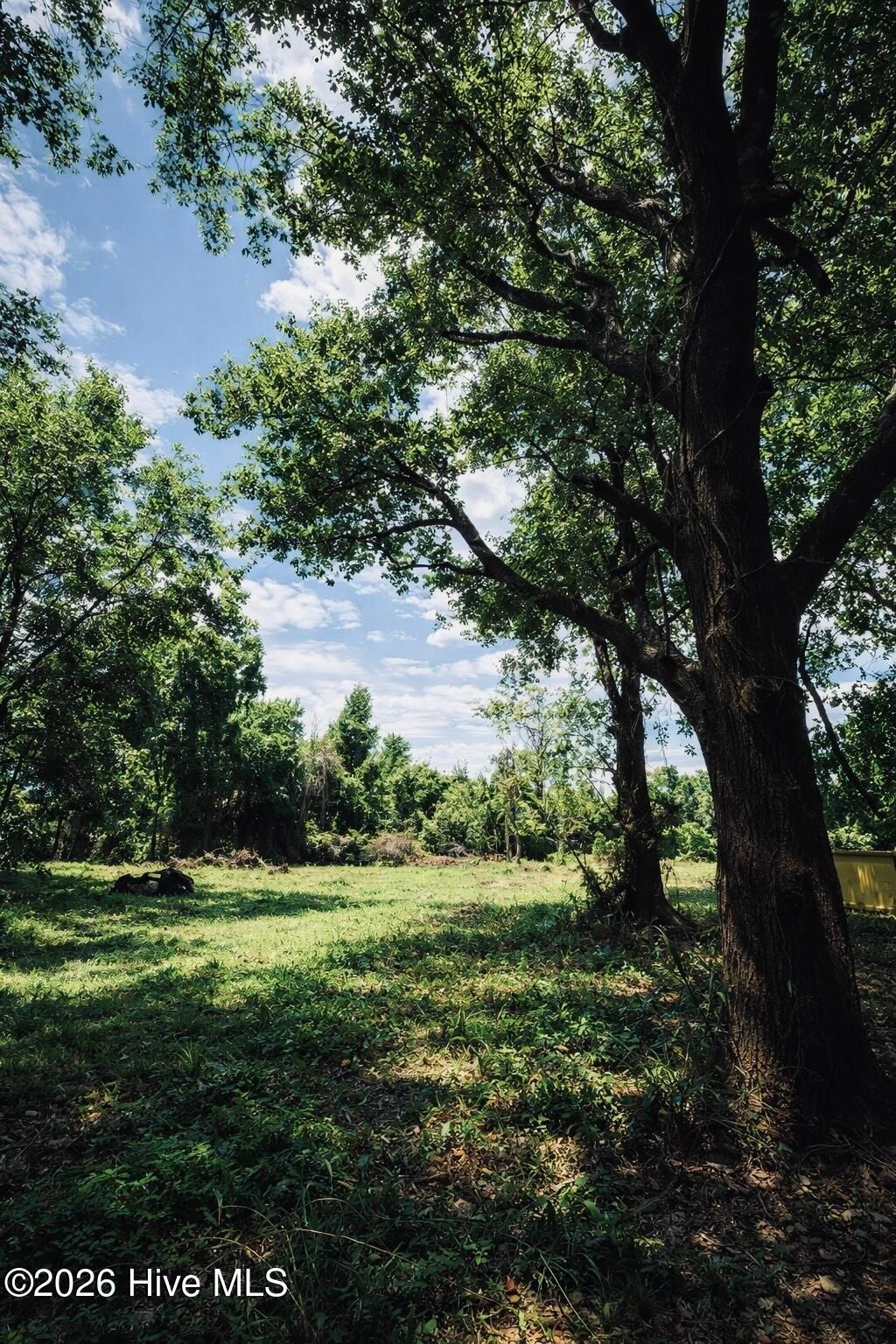 Photo of 1805 Front Street, Burgaw, NC 28425 (MLS # 100554171)