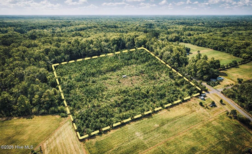 Photo of 1805 Front Street, Burgaw, NC 28425 (MLS # 100554171)