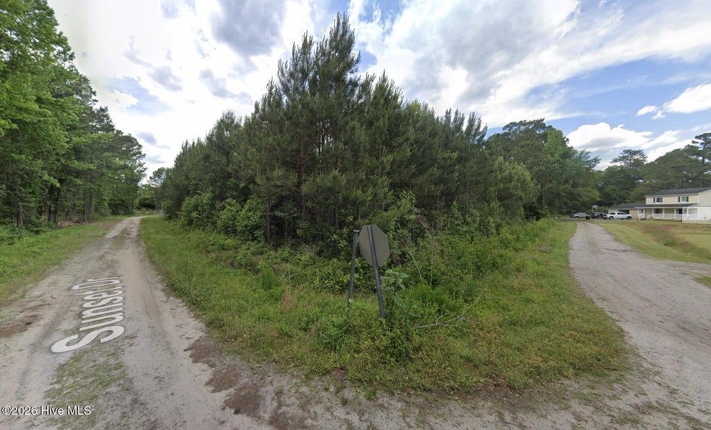 Photo of 2 Near 163 Sunset Drive, Fair Bluff, NC 28439 (MLS # 100603618)