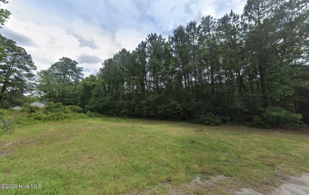 Photo of 2 Near 163 Sunset Drive, Fair Bluff, NC 28439 (MLS # 100603618)