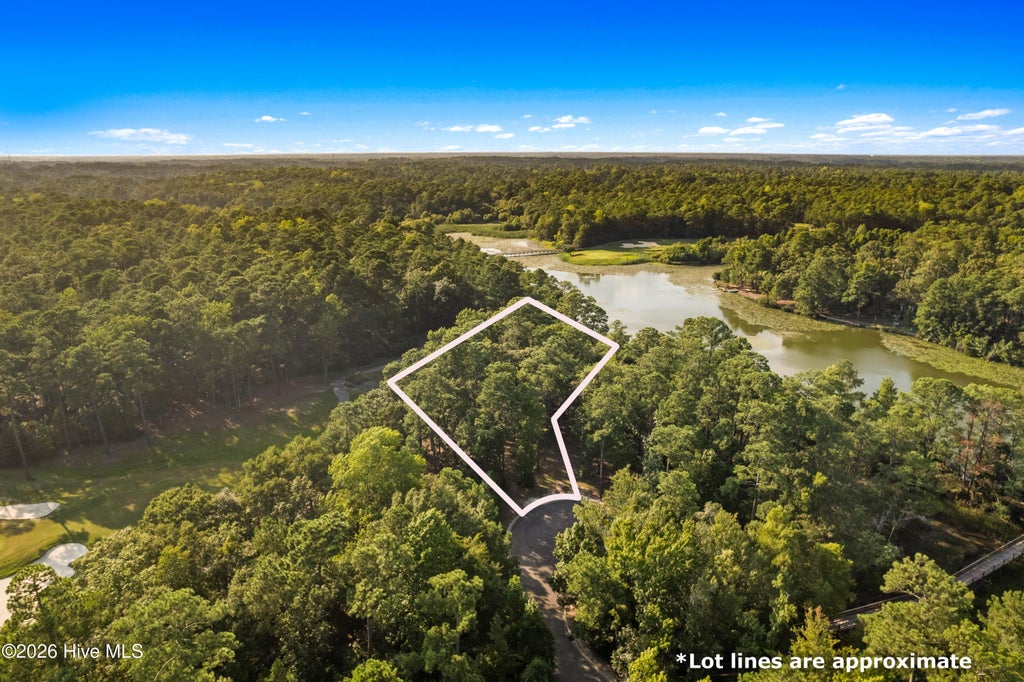 Photo of 707 Palmer Lake Court, Shallotte, NC 28470 (MLS # 100599794)