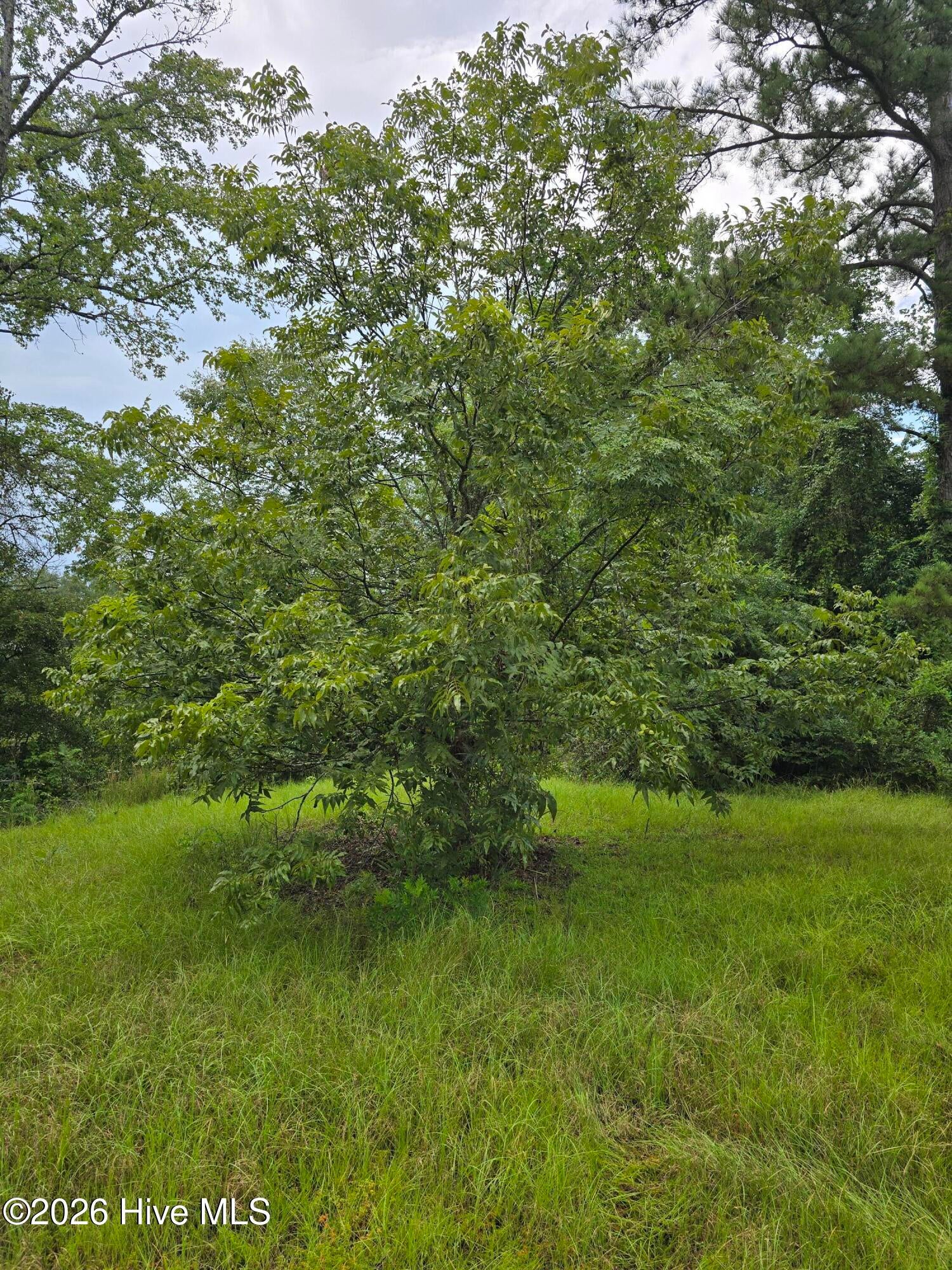 2865 Wheeler Road