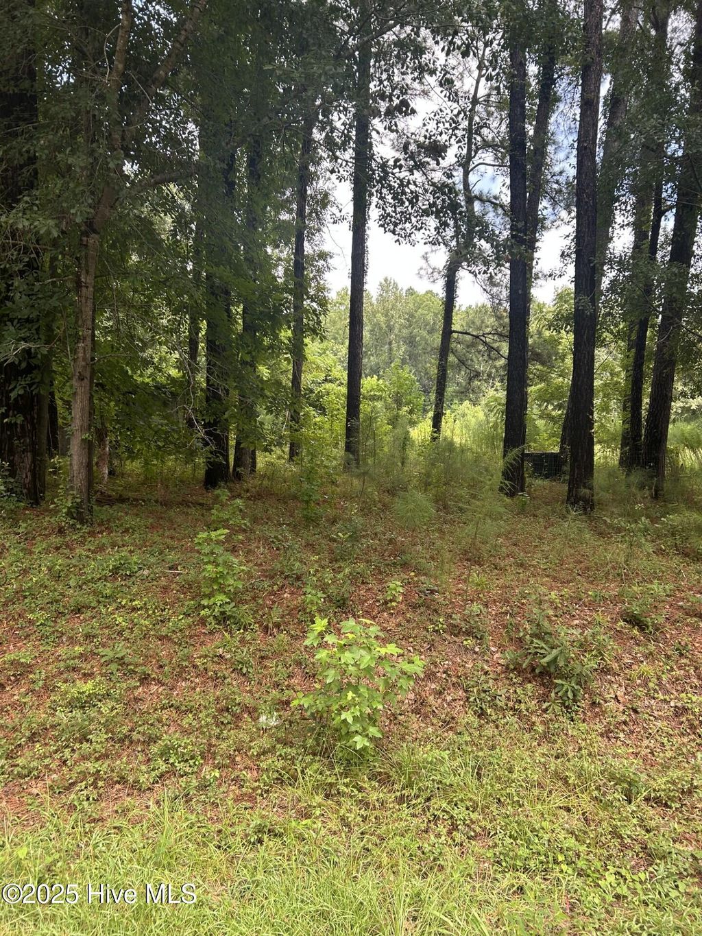 Photo of 0 Croomsbridge Road, Burgaw, NC 28425 (MLS # 100524492)