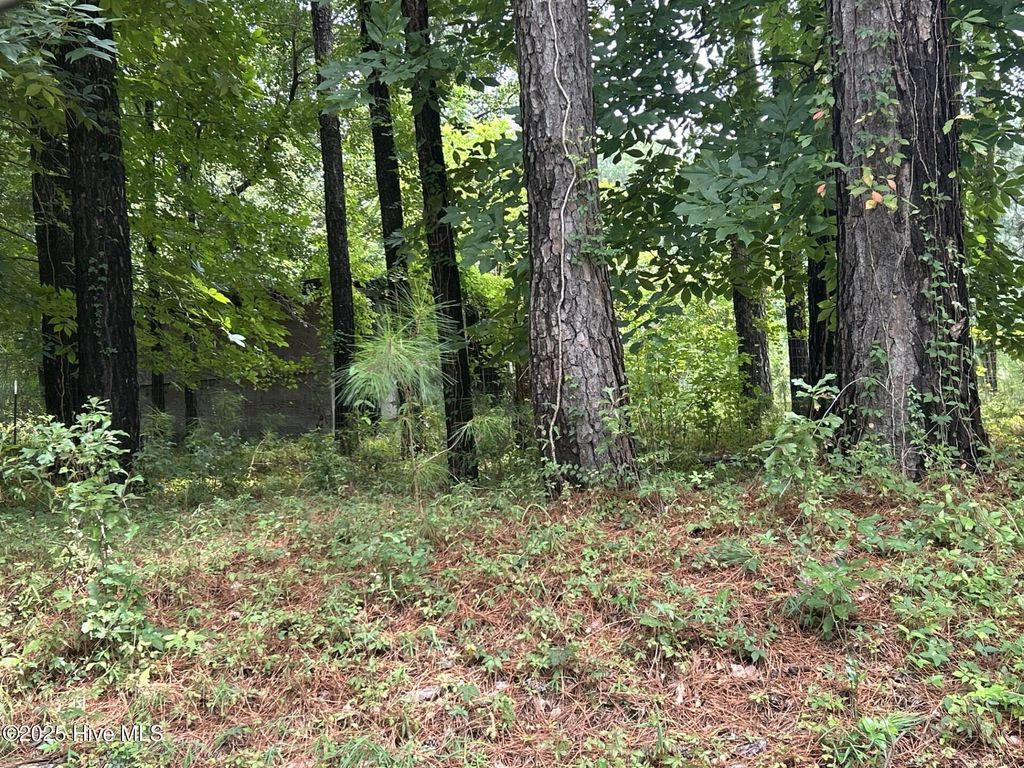 Photo of 0 Croomsbridge Road, Burgaw, NC 28425 (MLS # 100524492)