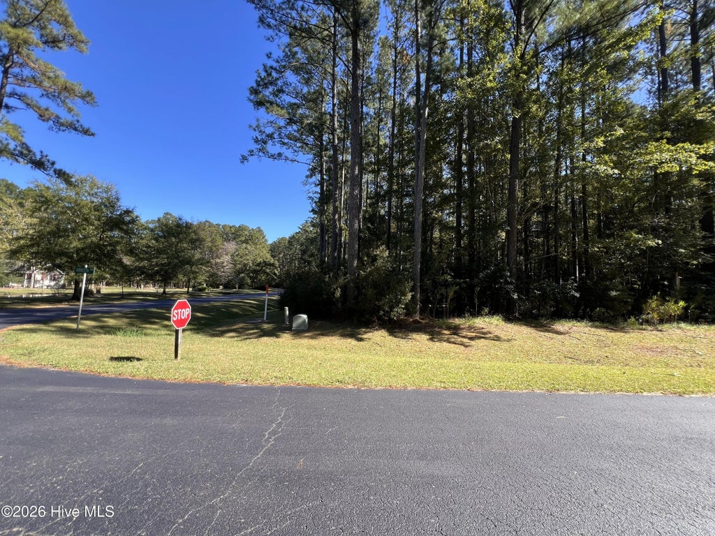 Photo of 62 Arnetta Way S, Oriental, NC 28571 (MLS # 100612385)