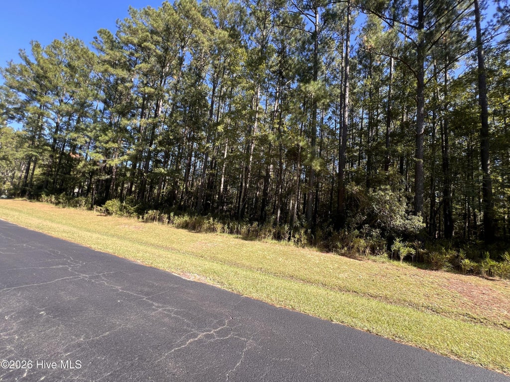 Photo of 62 Arnetta Way S, Oriental, NC 28571 (MLS # 100612385)