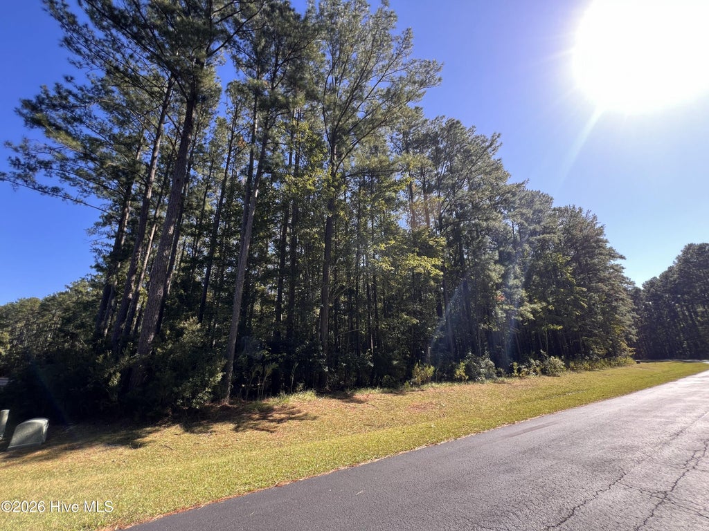 Photo of 62 Arnetta Way S, Oriental, NC 28571 (MLS # 100612385)