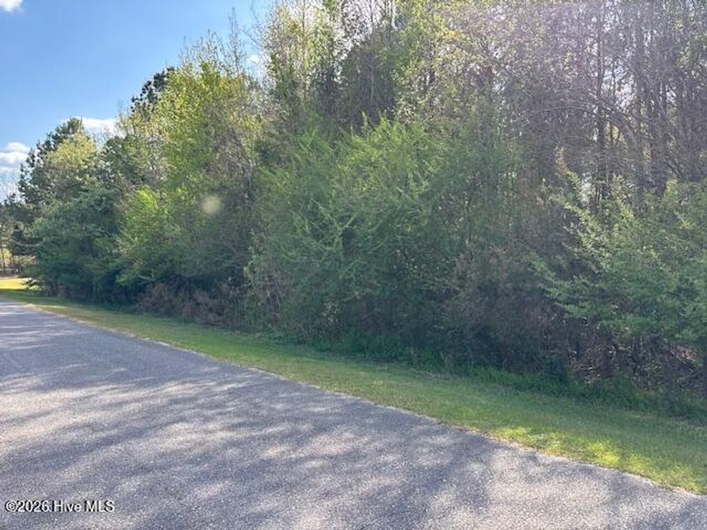 Photo of 0 Country Club Drive, Wallace, NC 28466 (MLS # 100566576)