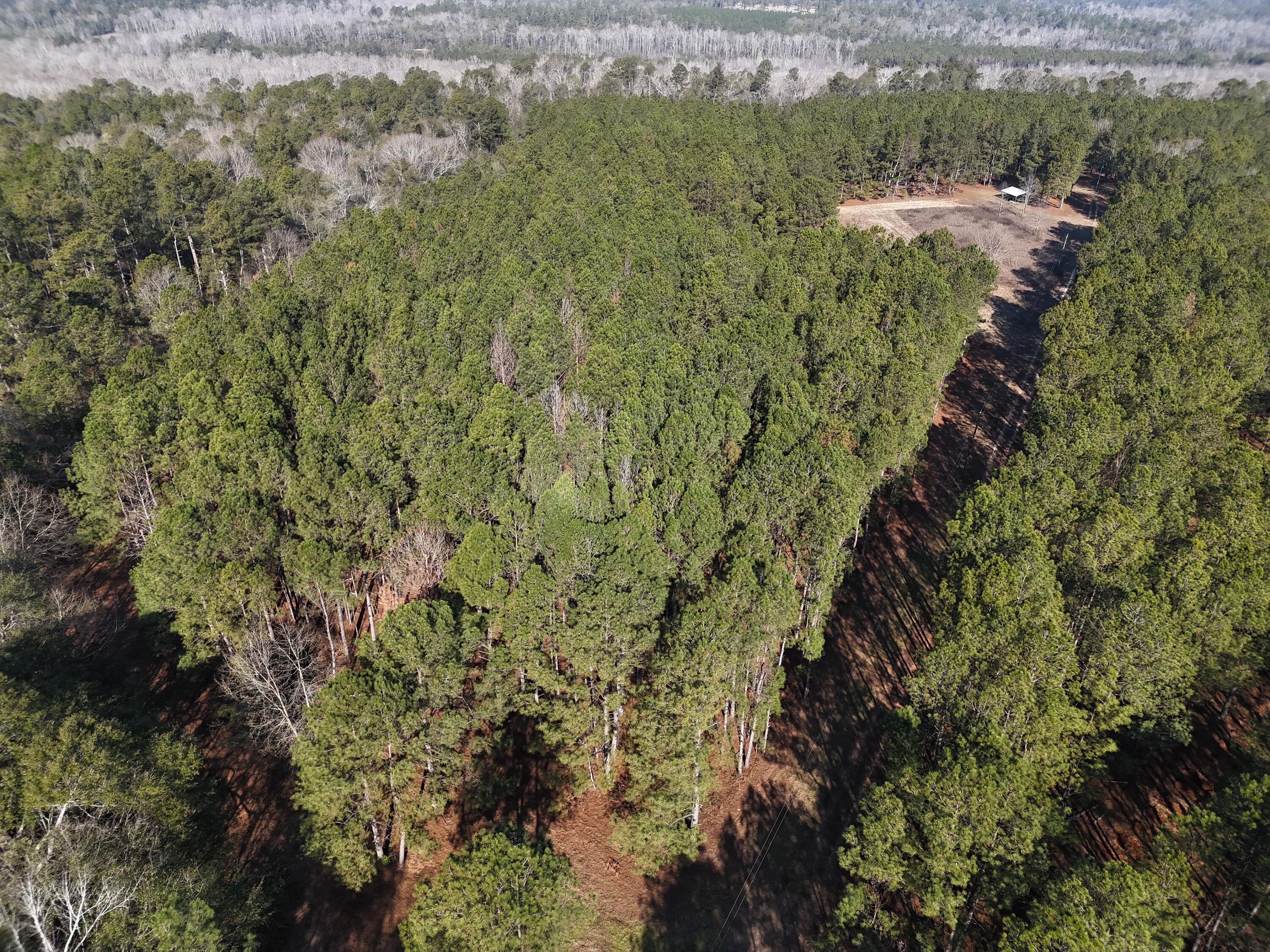 0 Ponderosa Road