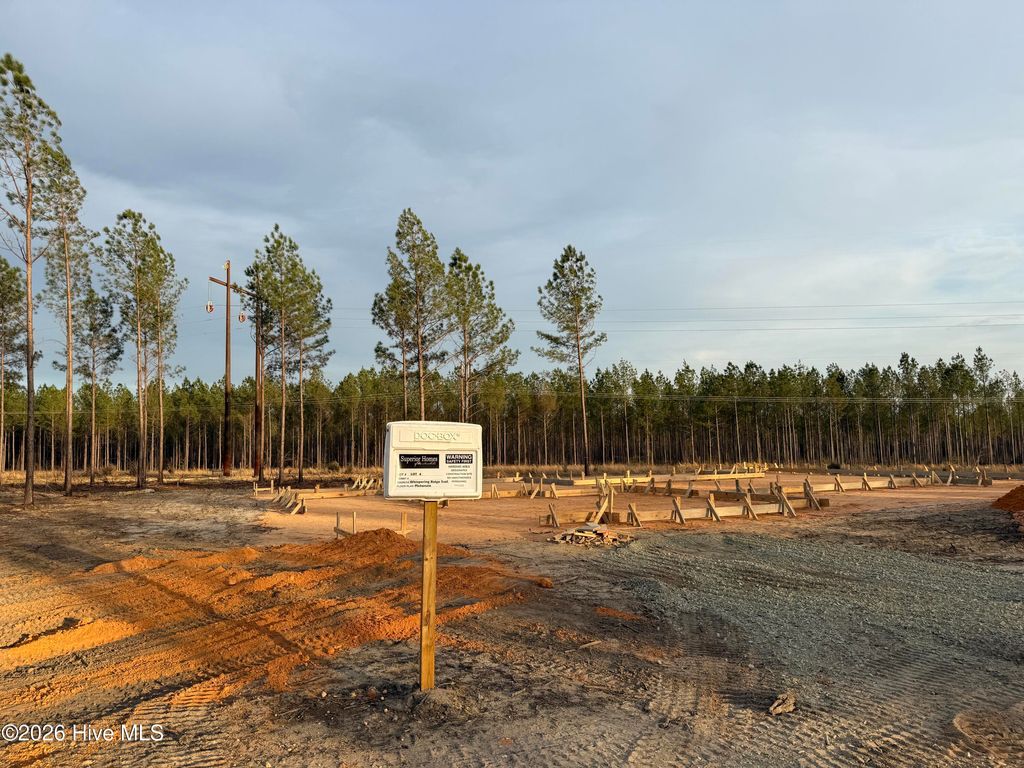Photo of Tbd Doubs Chapel Road #Lot 4, West End, NC 27376 (MLS # 100559304)