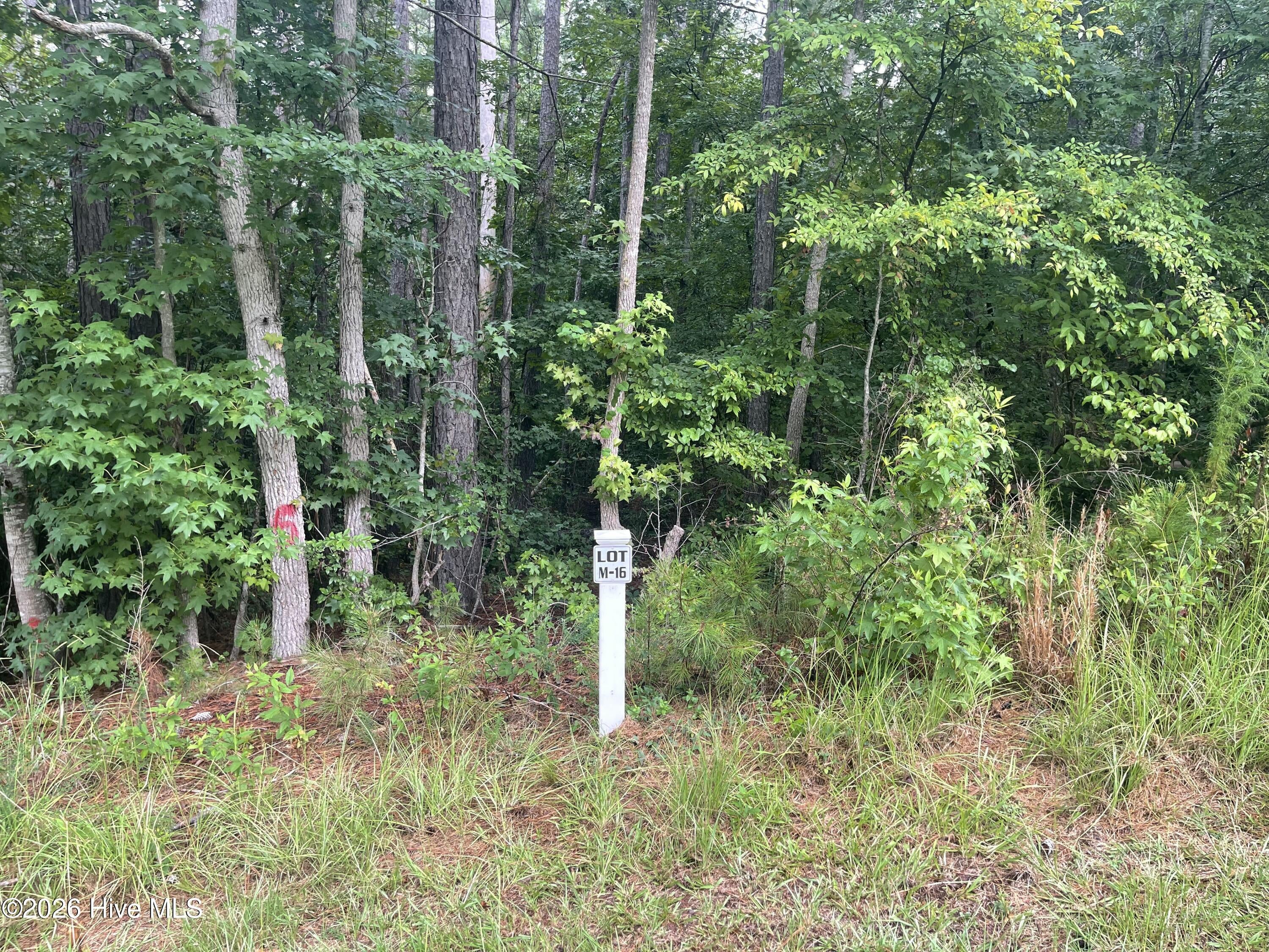 Lot M-16 Cavalry Run, North Augusta, SC, 29860