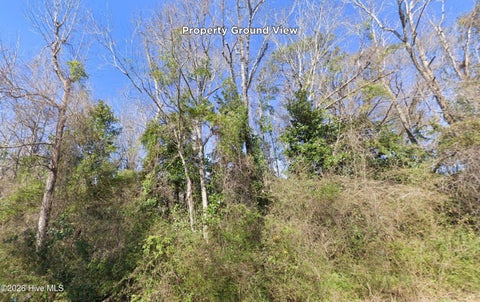 Tiny photo for 0 Lake Street, Midway Park, NC 28544 (MLS # 100602926)