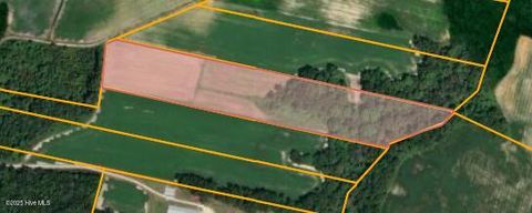 Vacant Land For Sale - PARCEL 2 Thunder Swamp Road<br/> Mount Olive, NC 28365