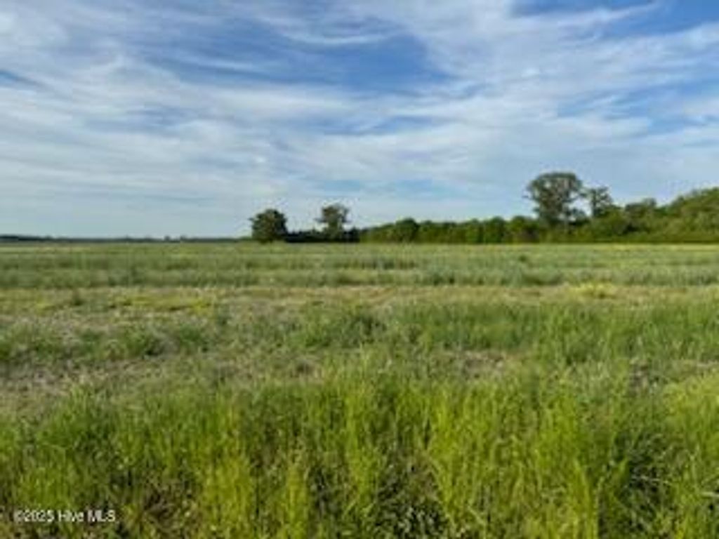 Photo of Lot B 343 Highway N, South Mills, NC 27976 (MLS # 100503495)