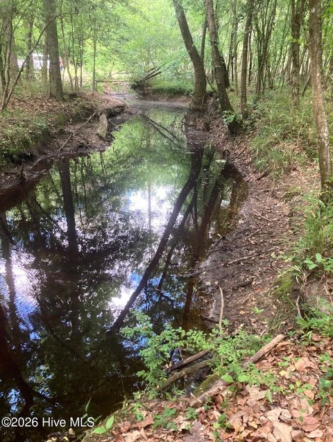 Tiny photo for 000 Harrell Road, Burgaw, NC 28425 (MLS # 100568957)