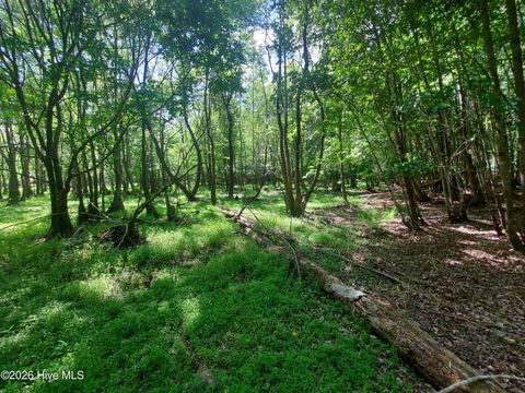 Tiny photo for 000 Harrell Road, Burgaw, NC 28425 (MLS # 100568957)