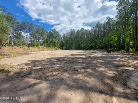 Tiny photo for 000 Harrell Road, Burgaw, NC 28425 (MLS # 100568957)