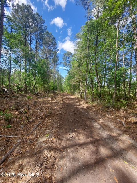 Tiny photo for 000 Harrell Road, Burgaw, NC 28425 (MLS # 100568957)