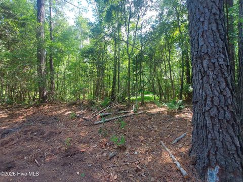 Tiny photo for 000 Harrell Road, Burgaw, NC 28425 (MLS # 100568957)