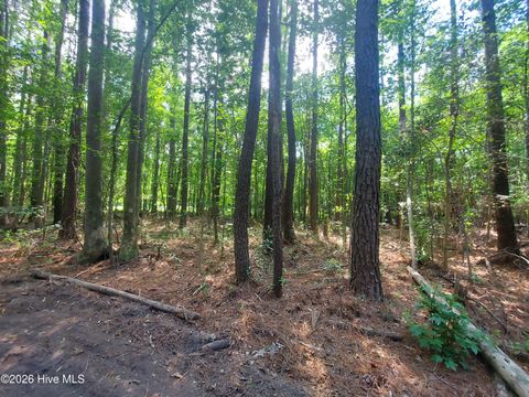 Tiny photo for 000 Harrell Road, Burgaw, NC 28425 (MLS # 100568957)