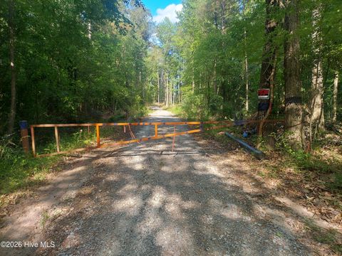 Tiny photo for 000 Harrell Road, Burgaw, NC 28425 (MLS # 100568957)