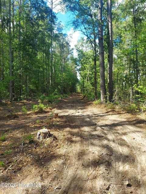 Tiny photo for 000 Harrell Road, Burgaw, NC 28425 (MLS # 100568957)