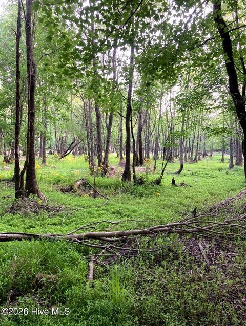 Tiny photo for 000 Harrell Road, Burgaw, NC 28425 (MLS # 100568957)