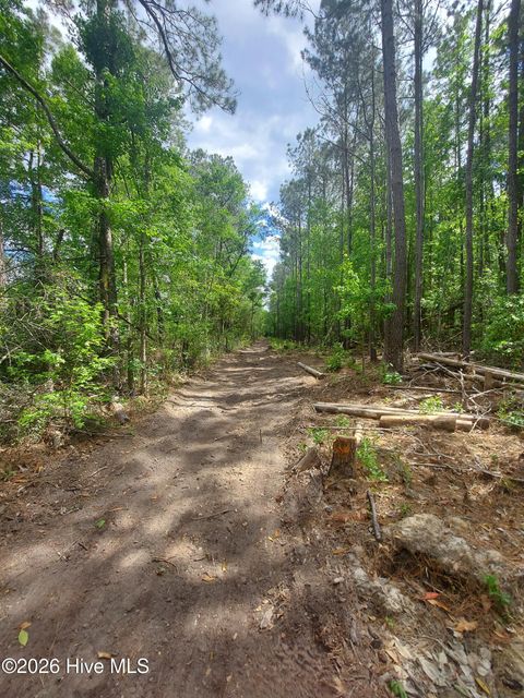 Tiny photo for 000 Harrell Road, Burgaw, NC 28425 (MLS # 100568957)
